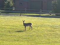Greeted us our first arrival.