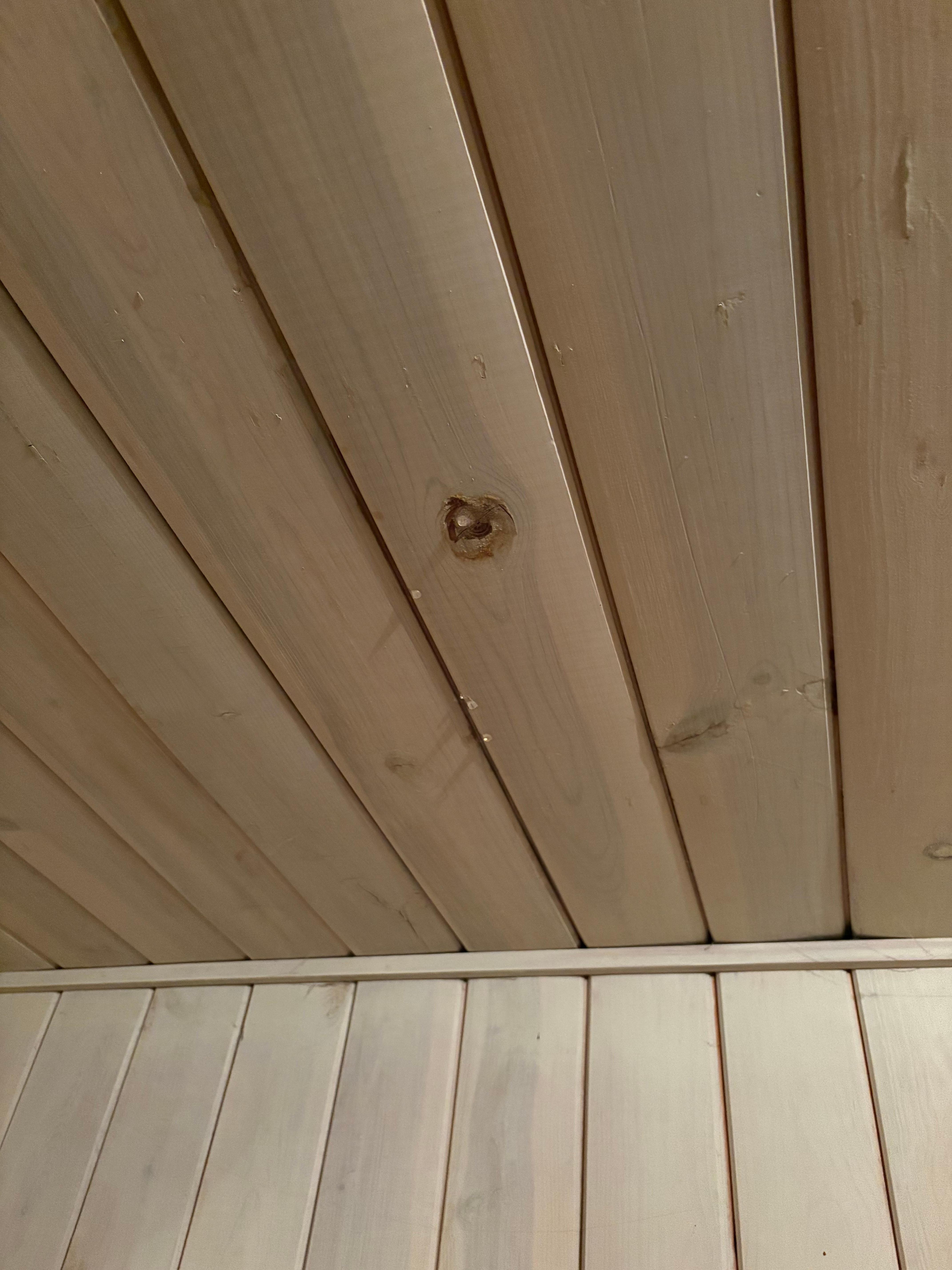 Leaking first floor ceiling