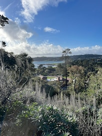 Views from walks from the house