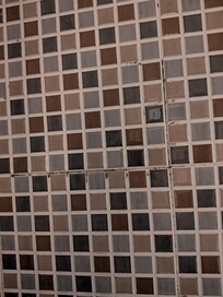 Just some of the mold found in the 4 bathrooms I saw