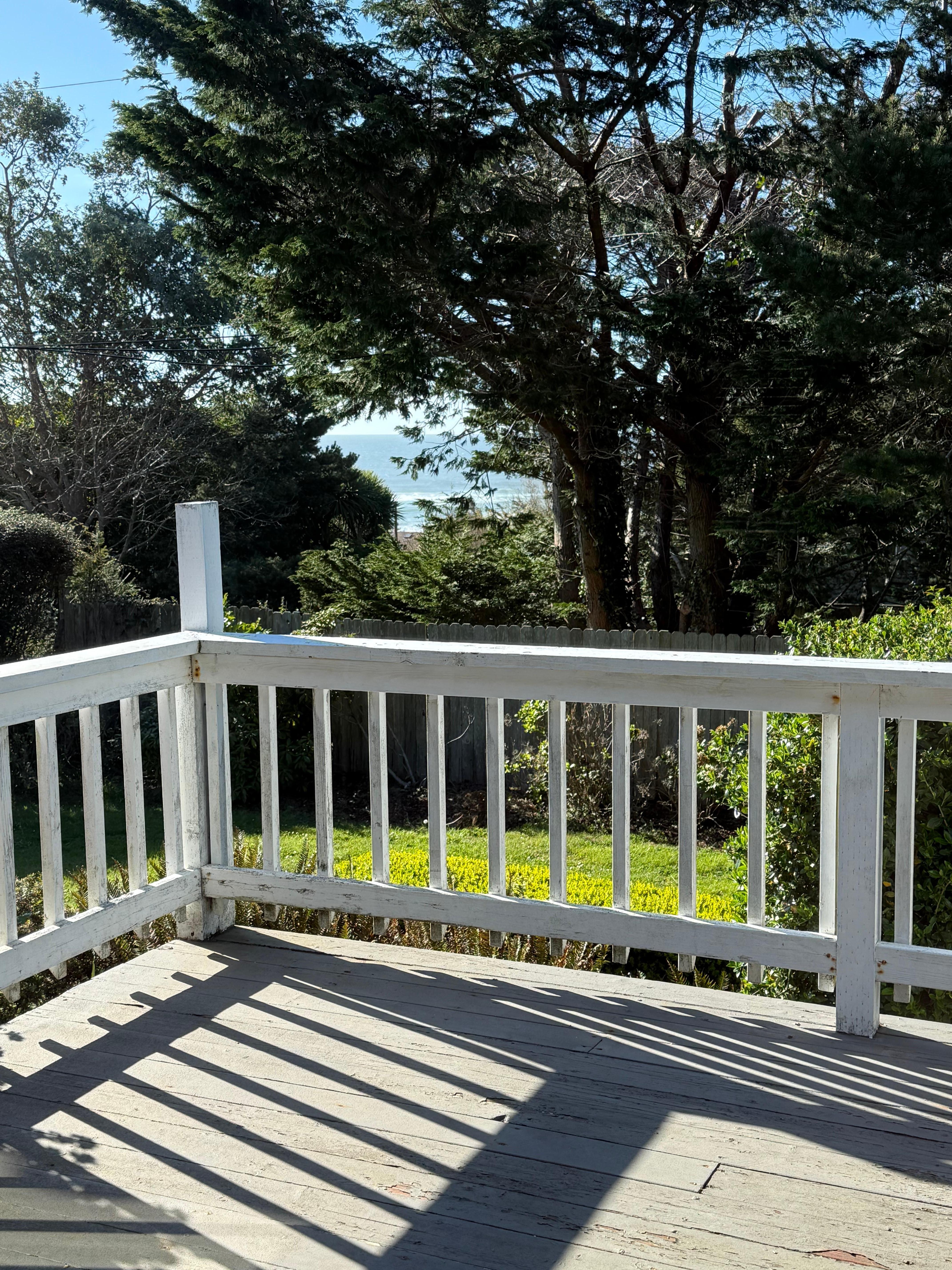 Looking out from the kitchen window.