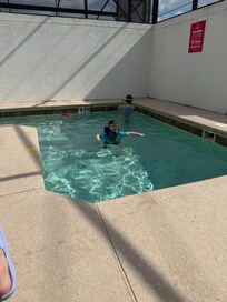 House pool