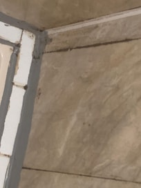 Shower wall