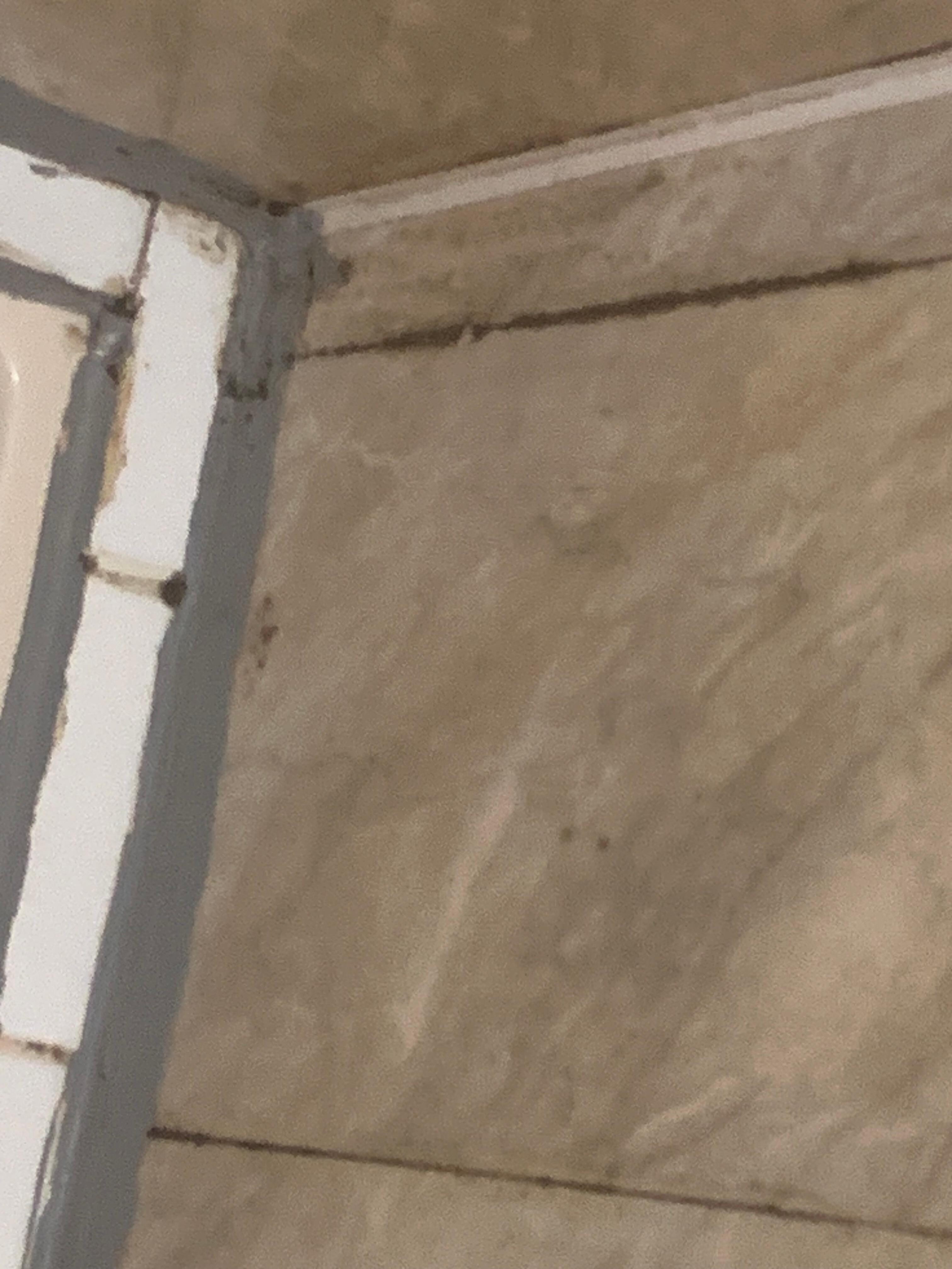 Shower wall