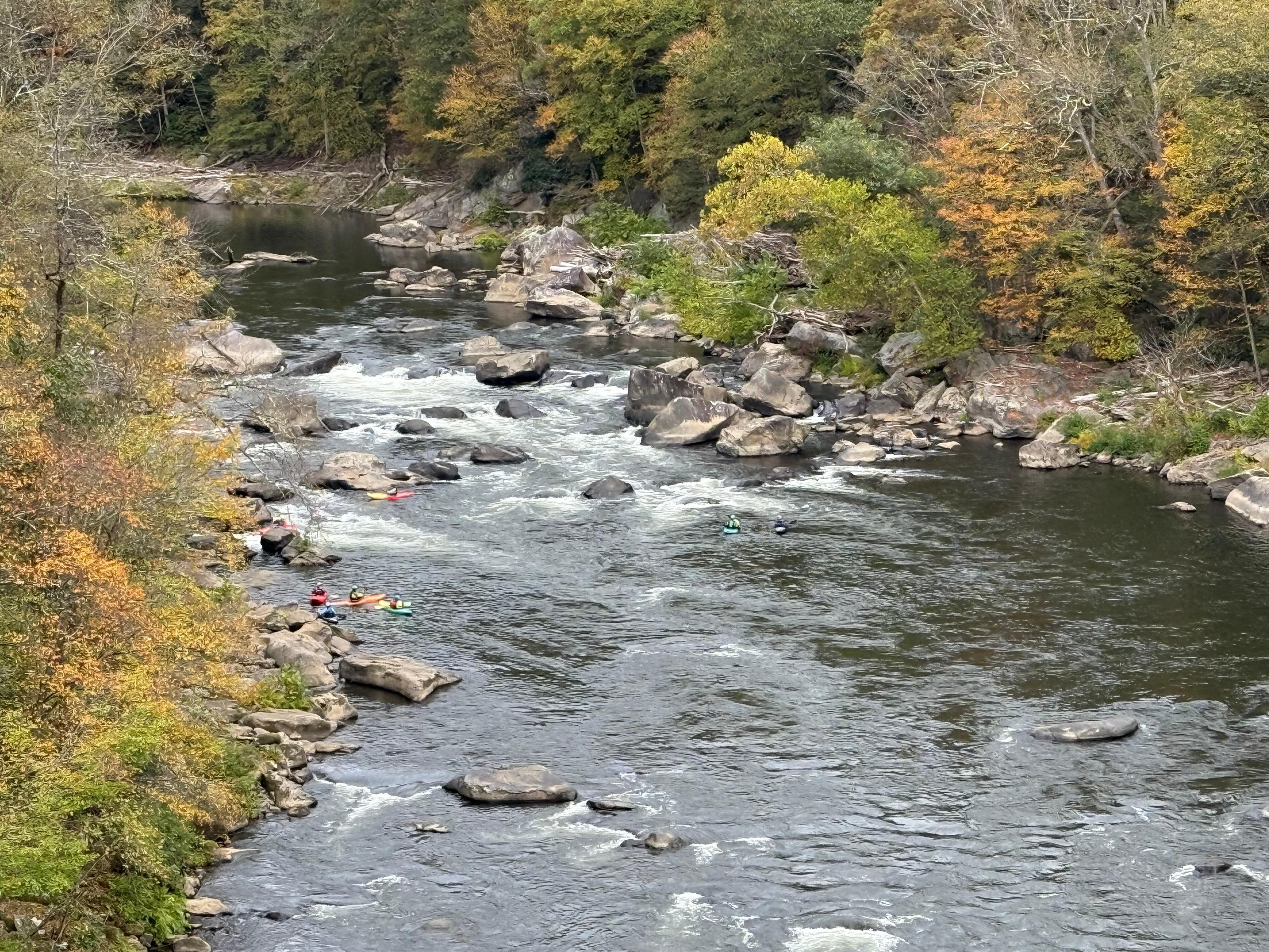 Youghigheny River Gorge