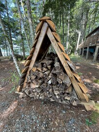 Nice wood pile