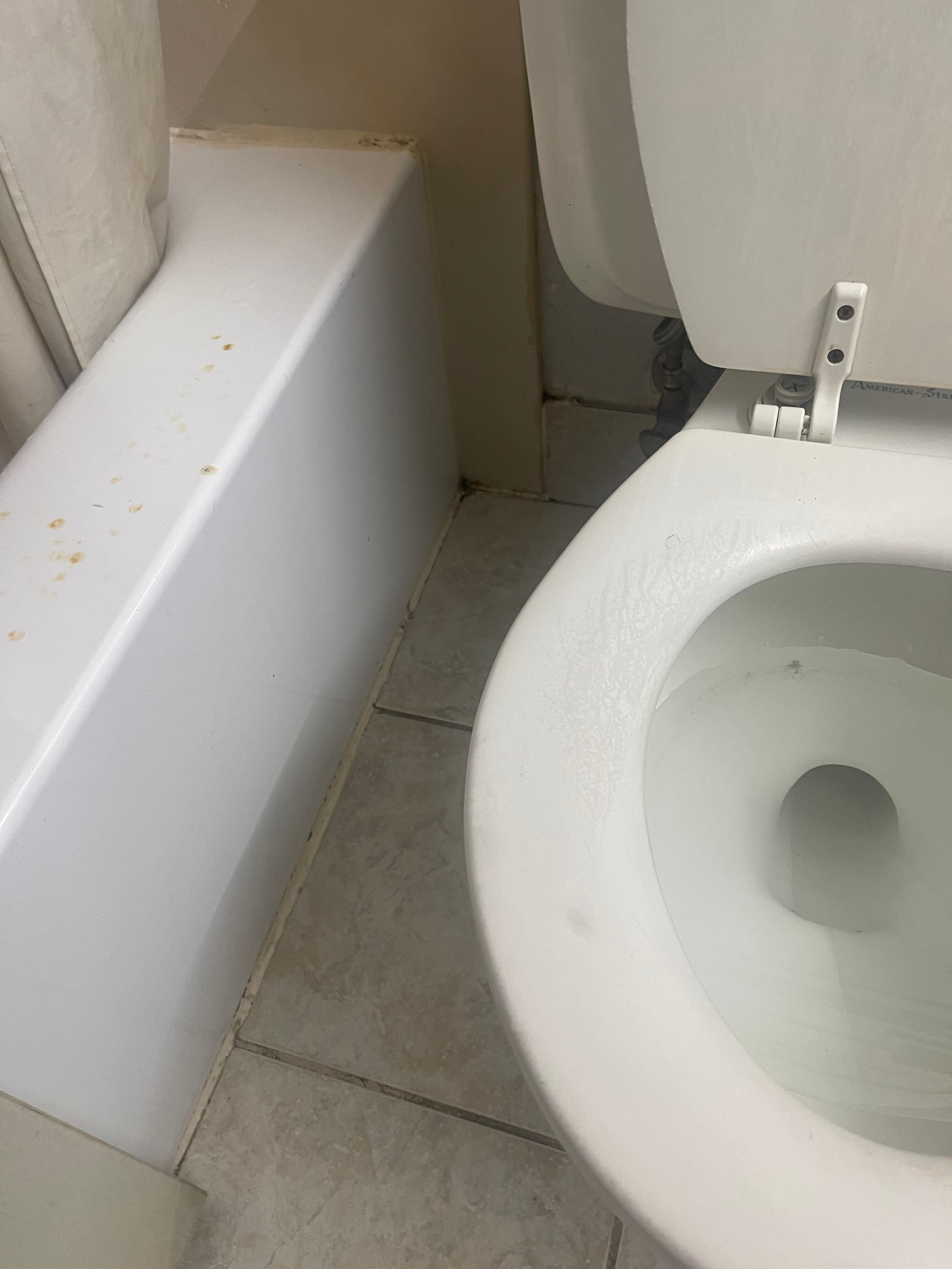 Ring around inside of toilet and spots on the tub