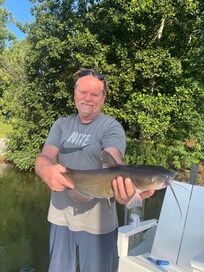 Beautiful Channel Cat
