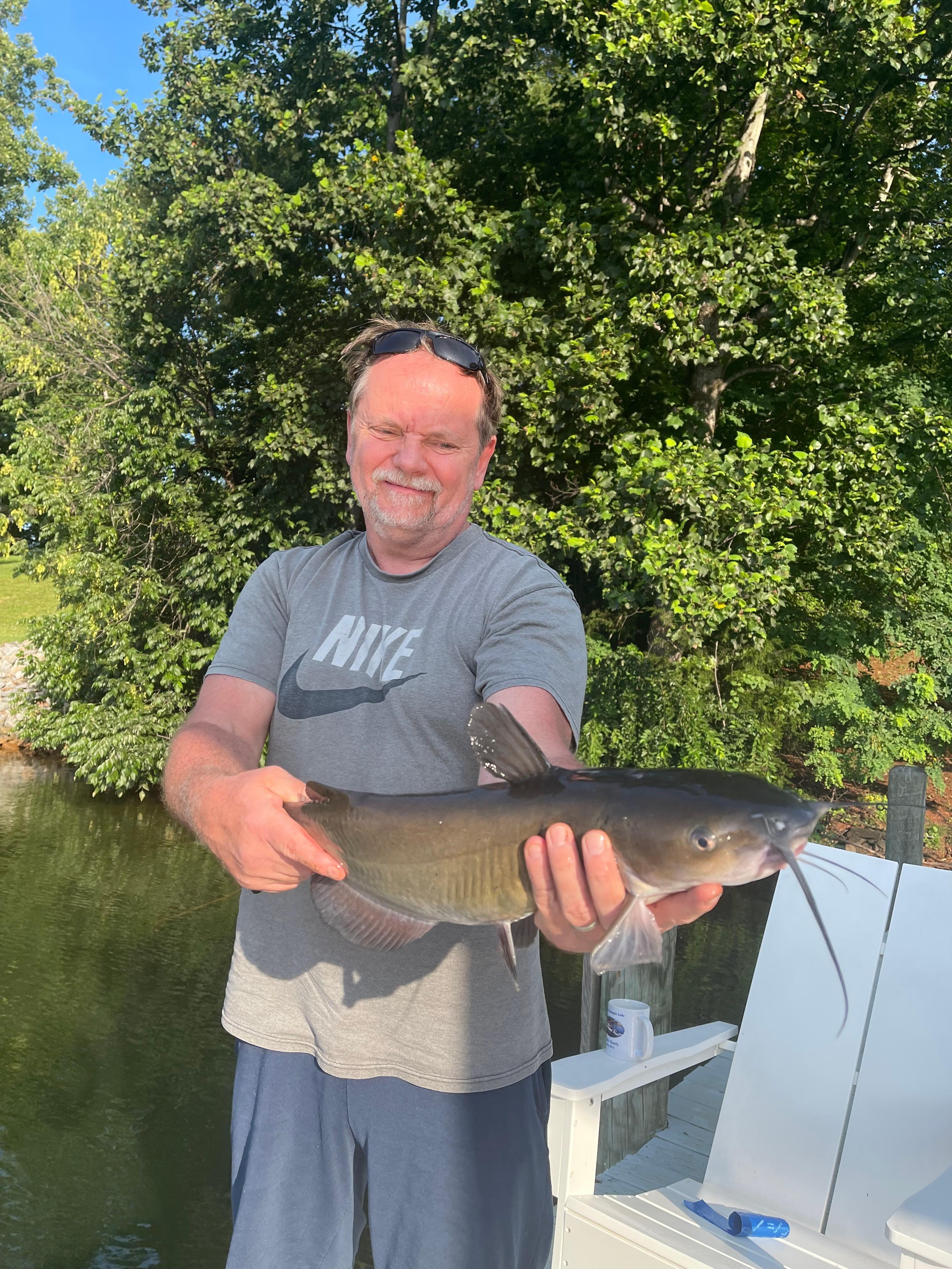 Beautiful Channel Cat