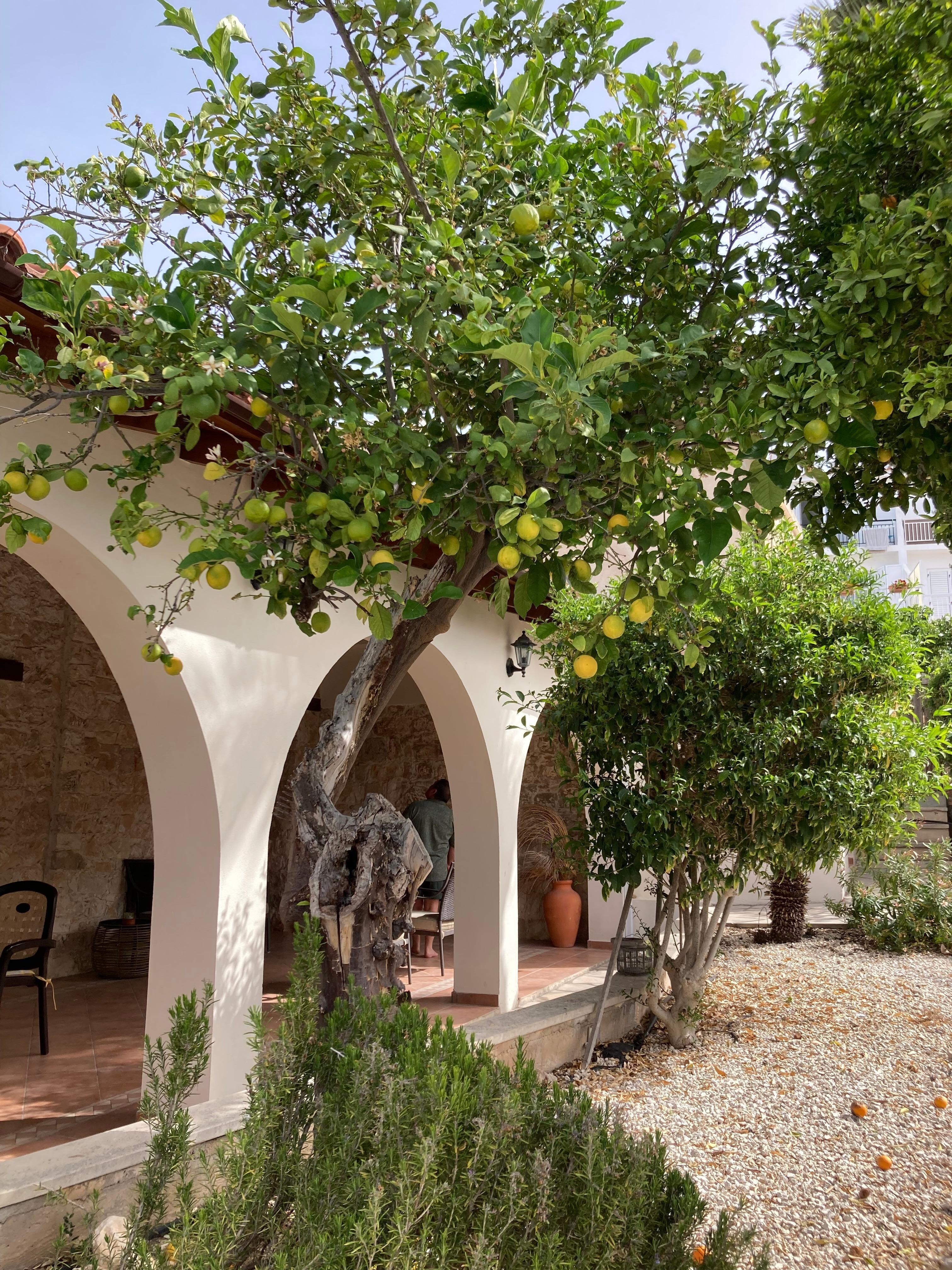 Veranda, lovely spot for breakfast 