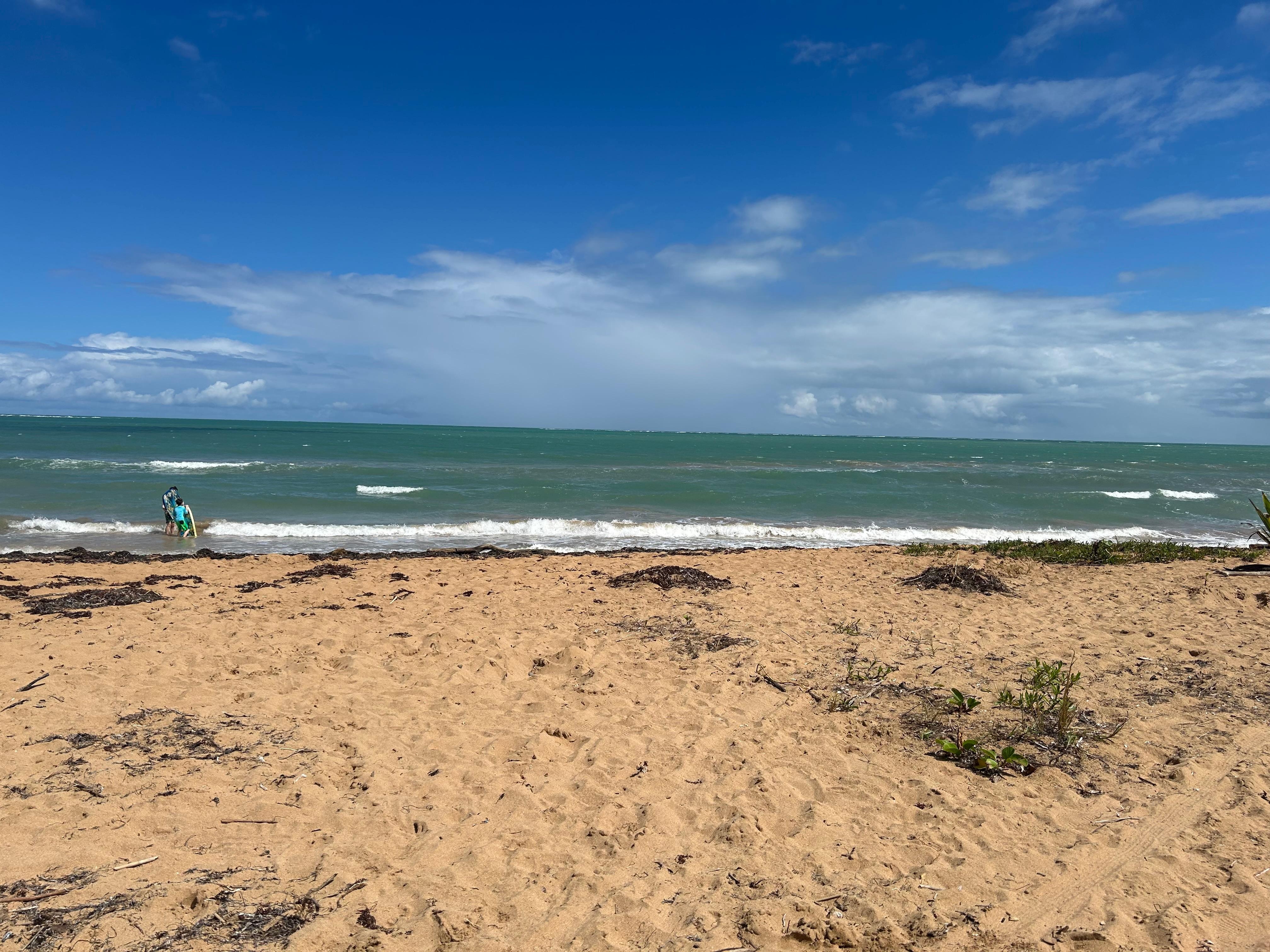 The beach at the condo.