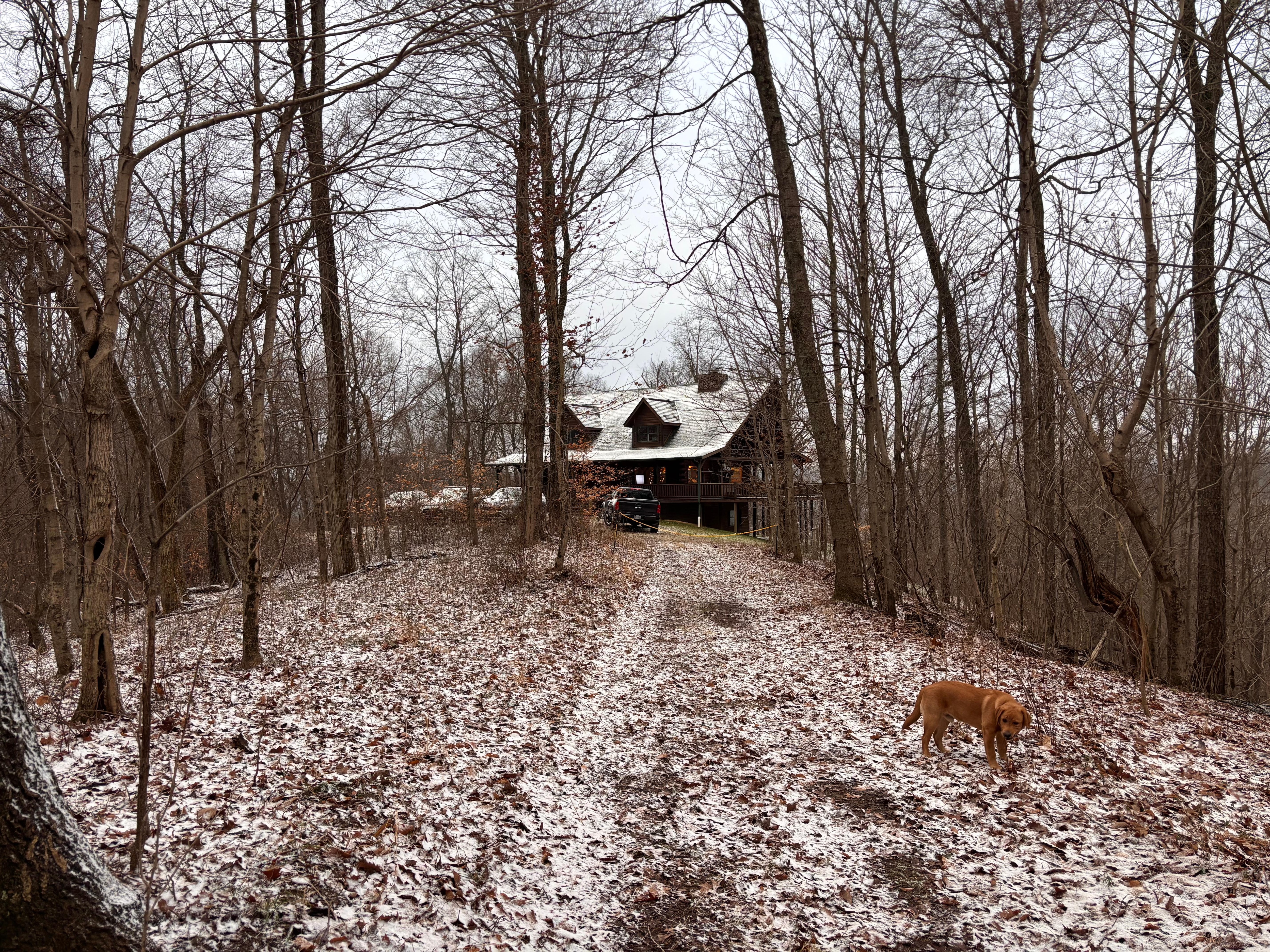 A walk along the property 