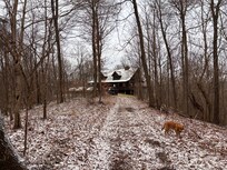 A walk along the property