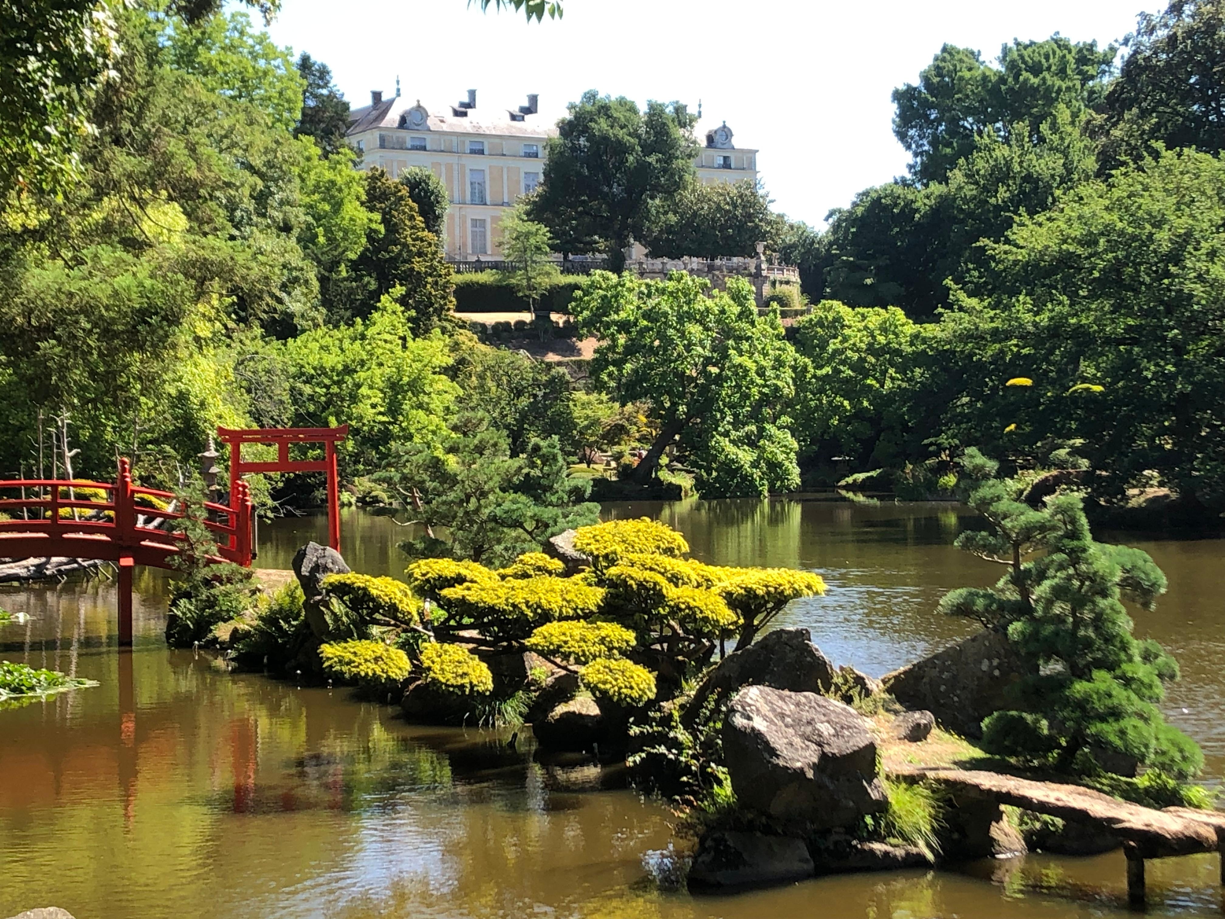 L’hôtel Colbert vu du jardin exotique 
