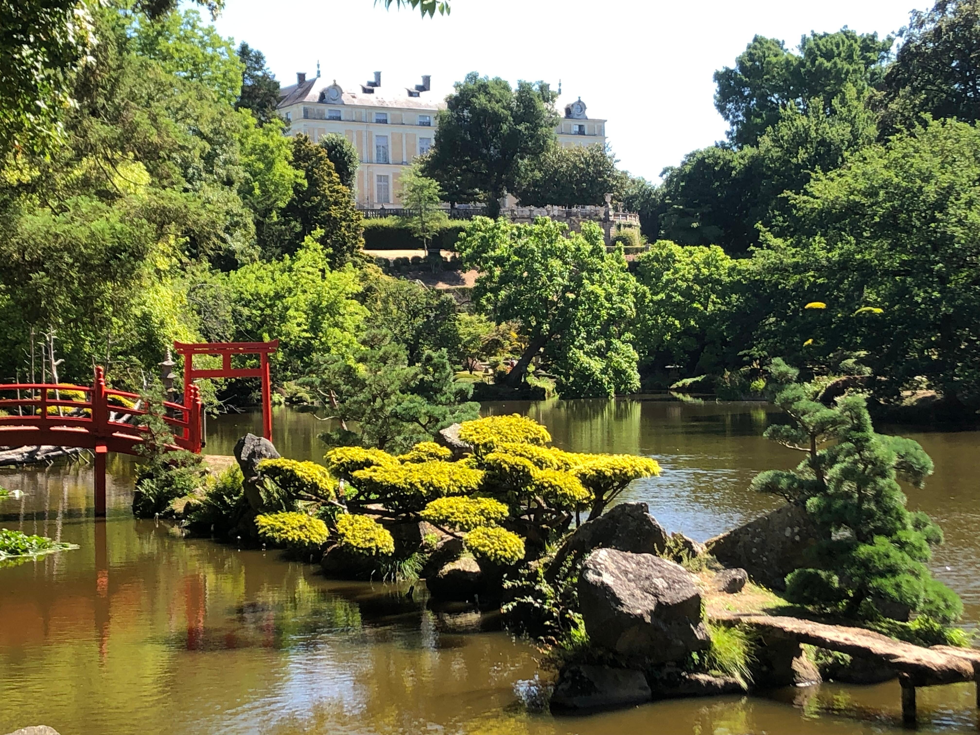 L’hôtel Colbert vu du jardin exotique 