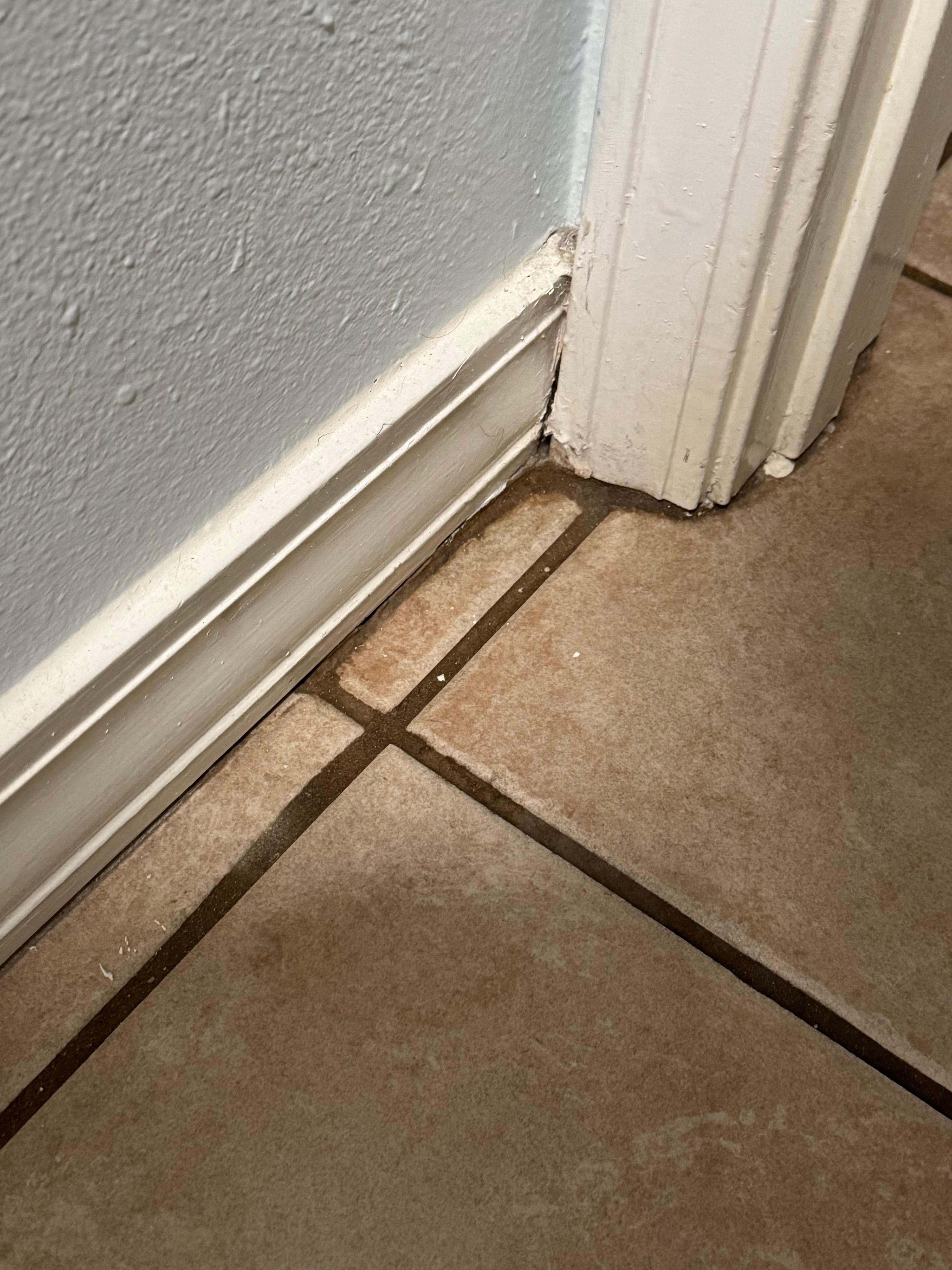 Condo needed some tl 