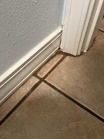 Condo needed some tl