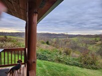 Our dog enjoying the view