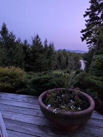 View from deck