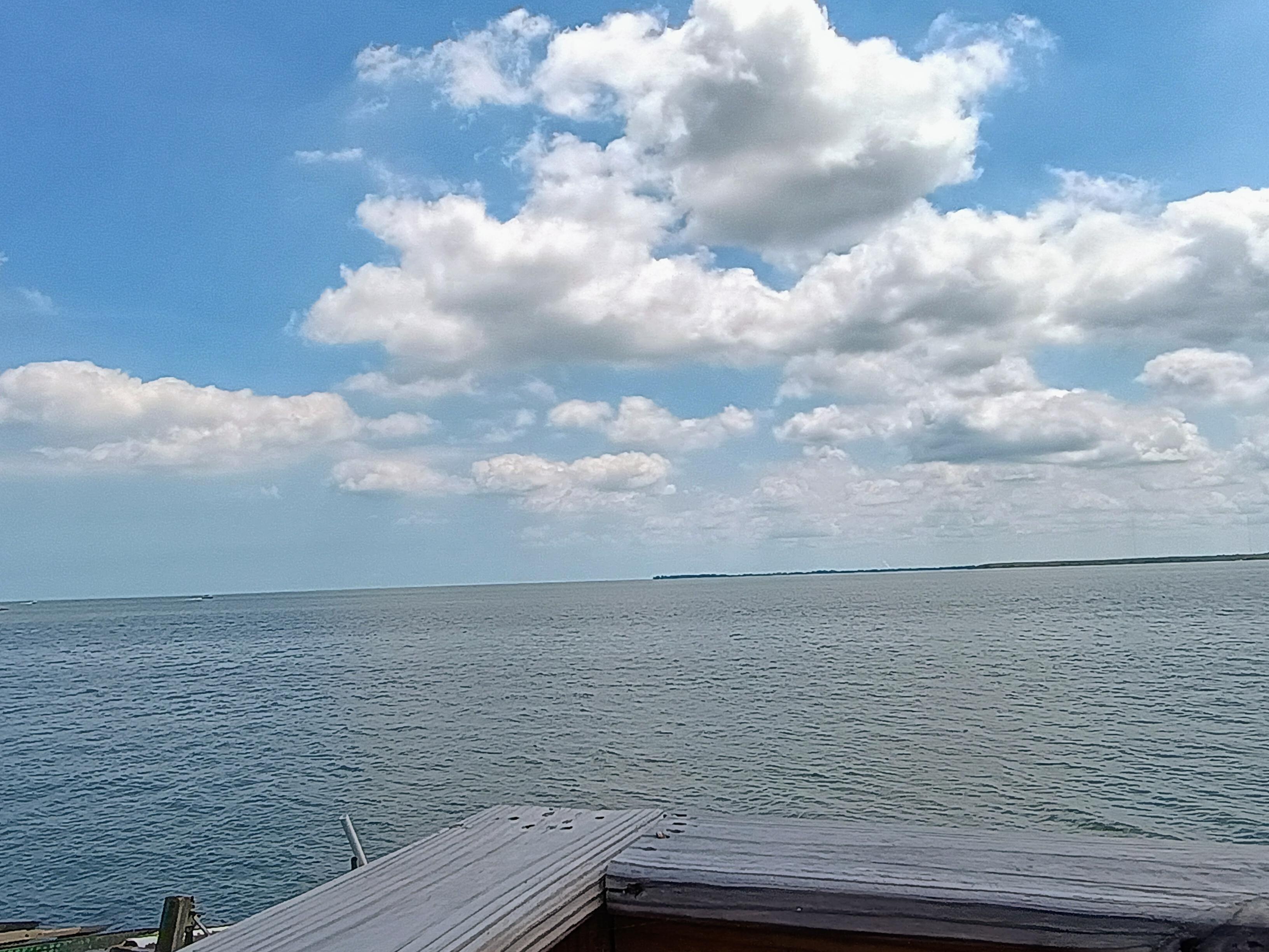 Mid Day lake watching!