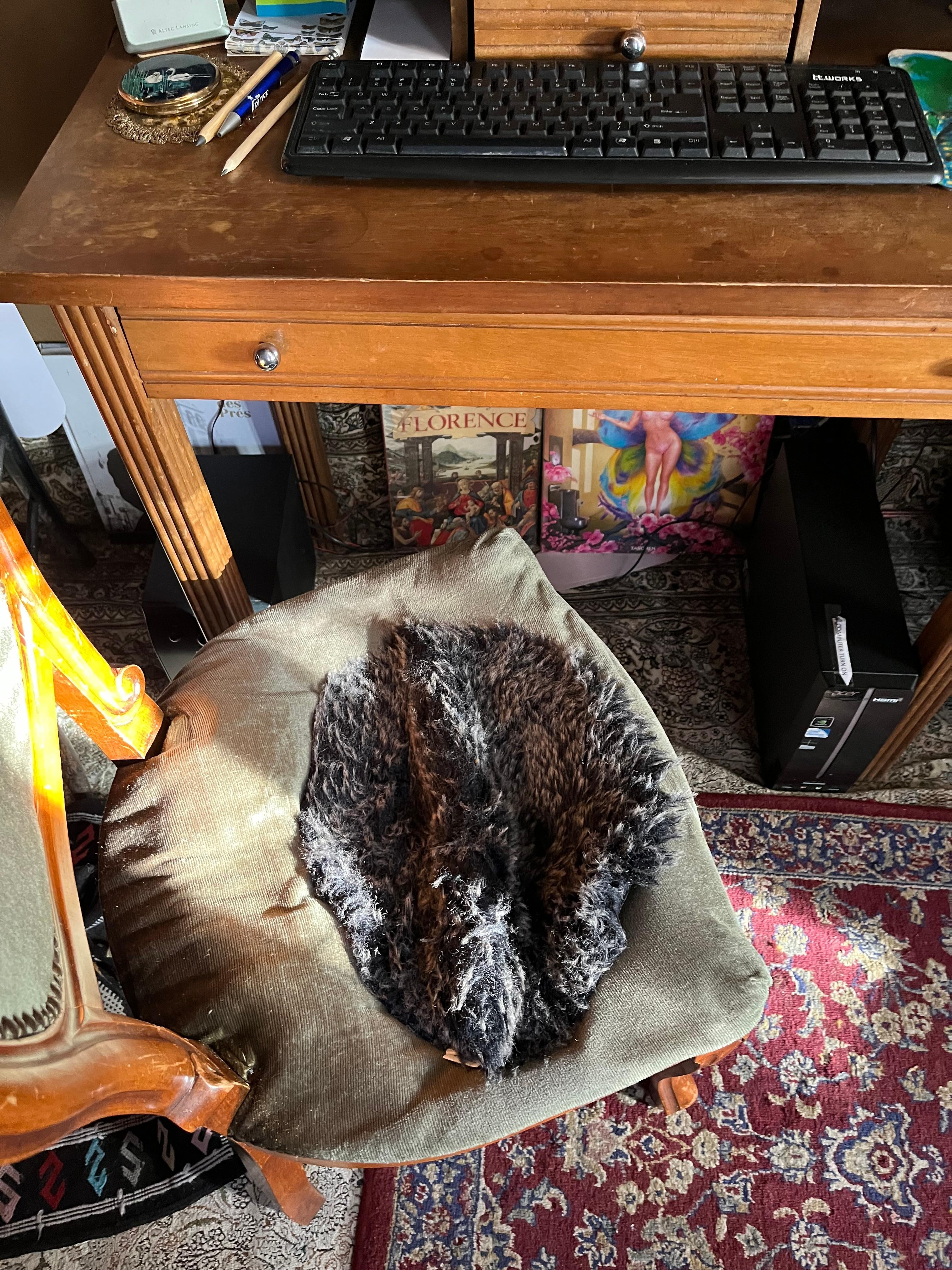 Seat is falling out. 