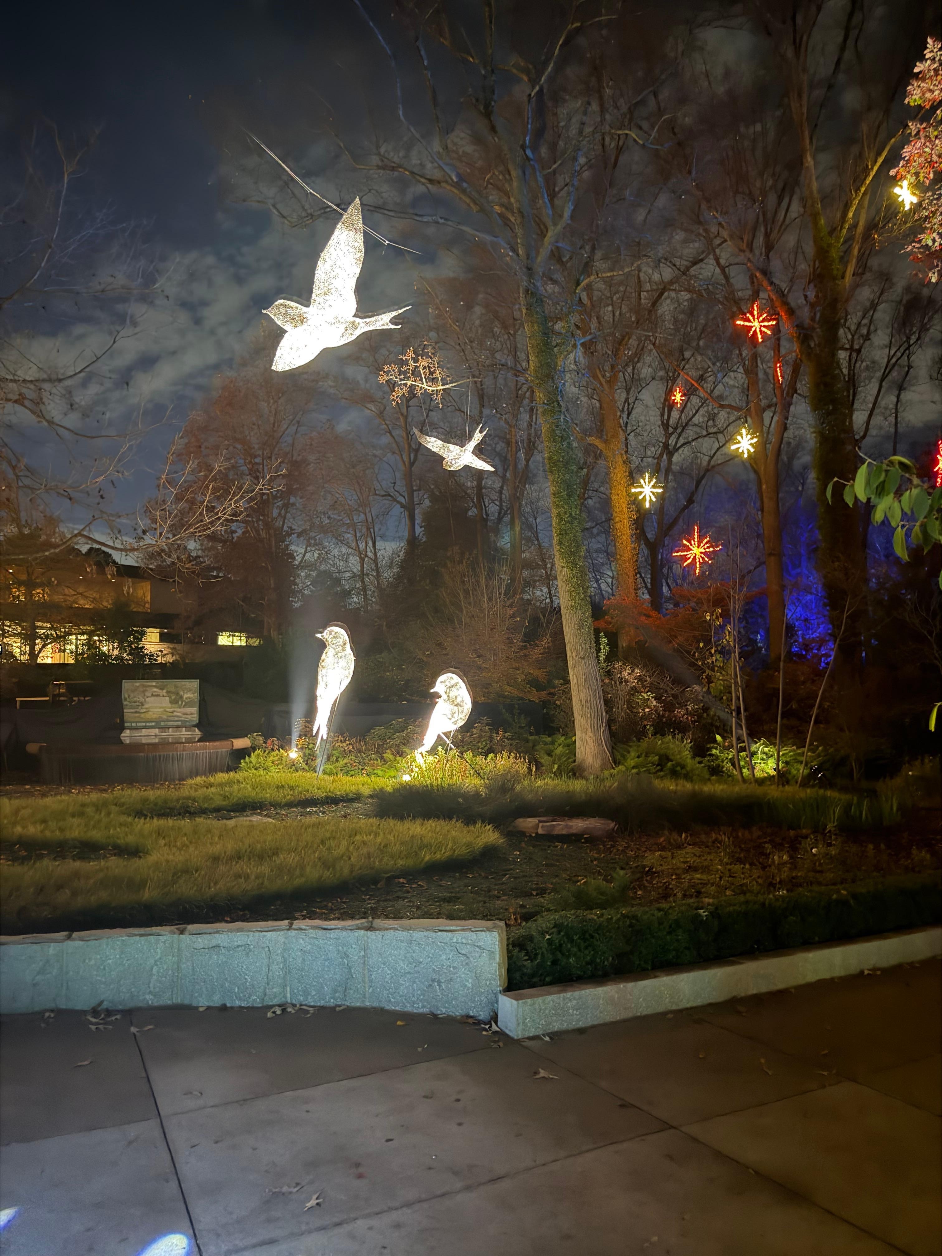 Georgia botanical gardens 