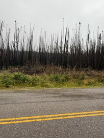 Remember the massive fire of 2024