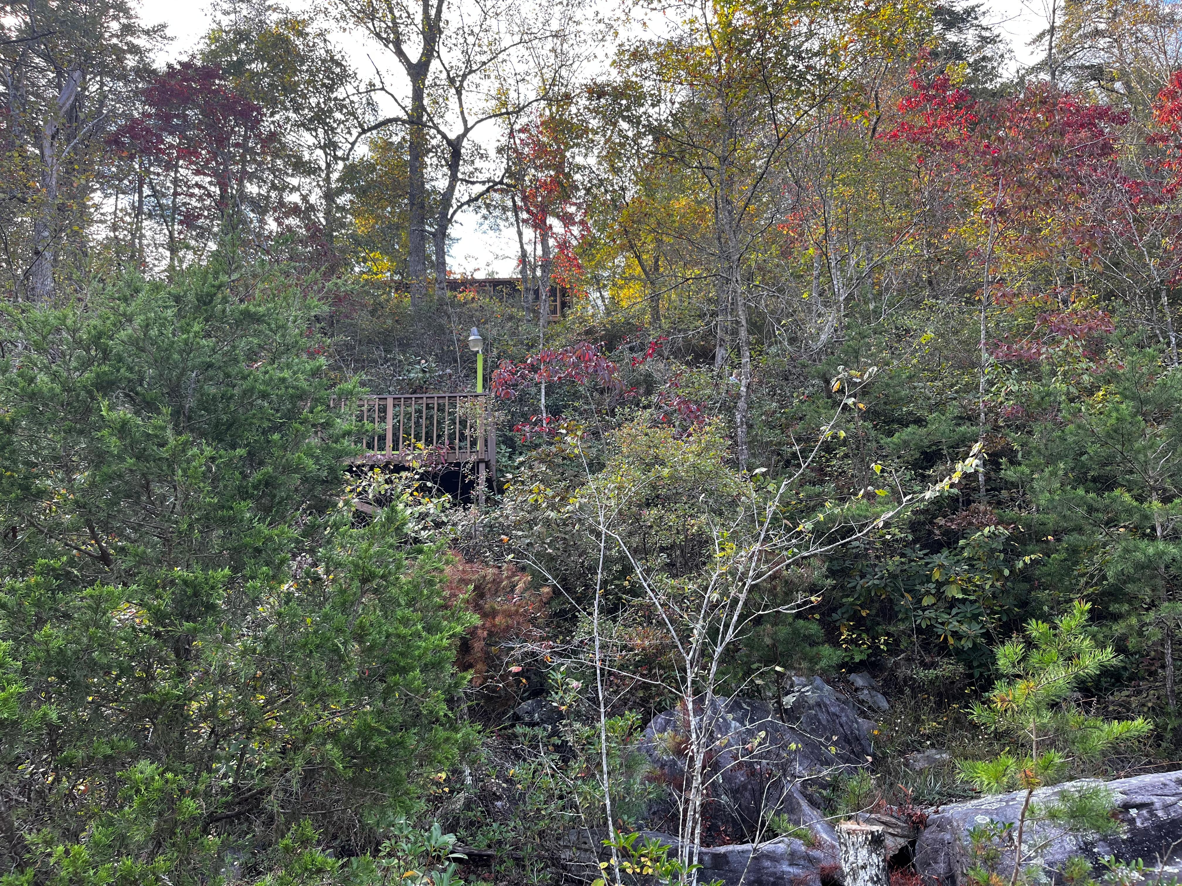 View of the cabin from the river.