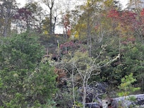 View of the cabin from the river.