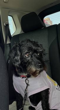 Watching her Daddy pump gas