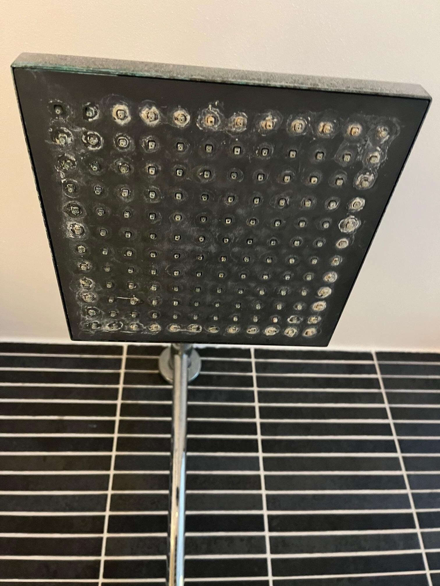 Limescale crusted showered