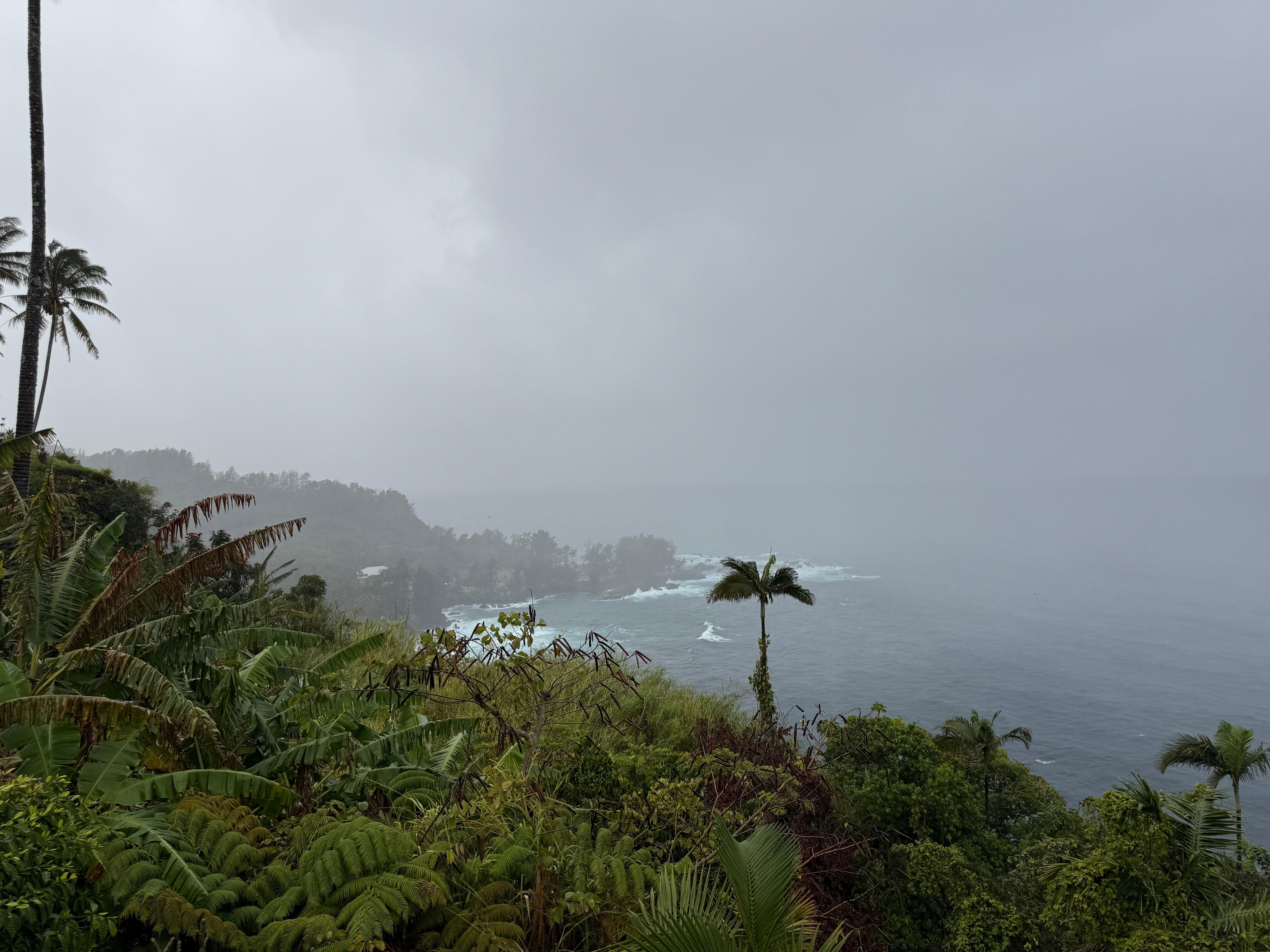 We had a lot of rain!! Record breaking!