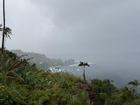 We had a lot of rain!! Record breaking!