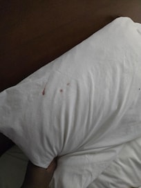 Blood stained pillows