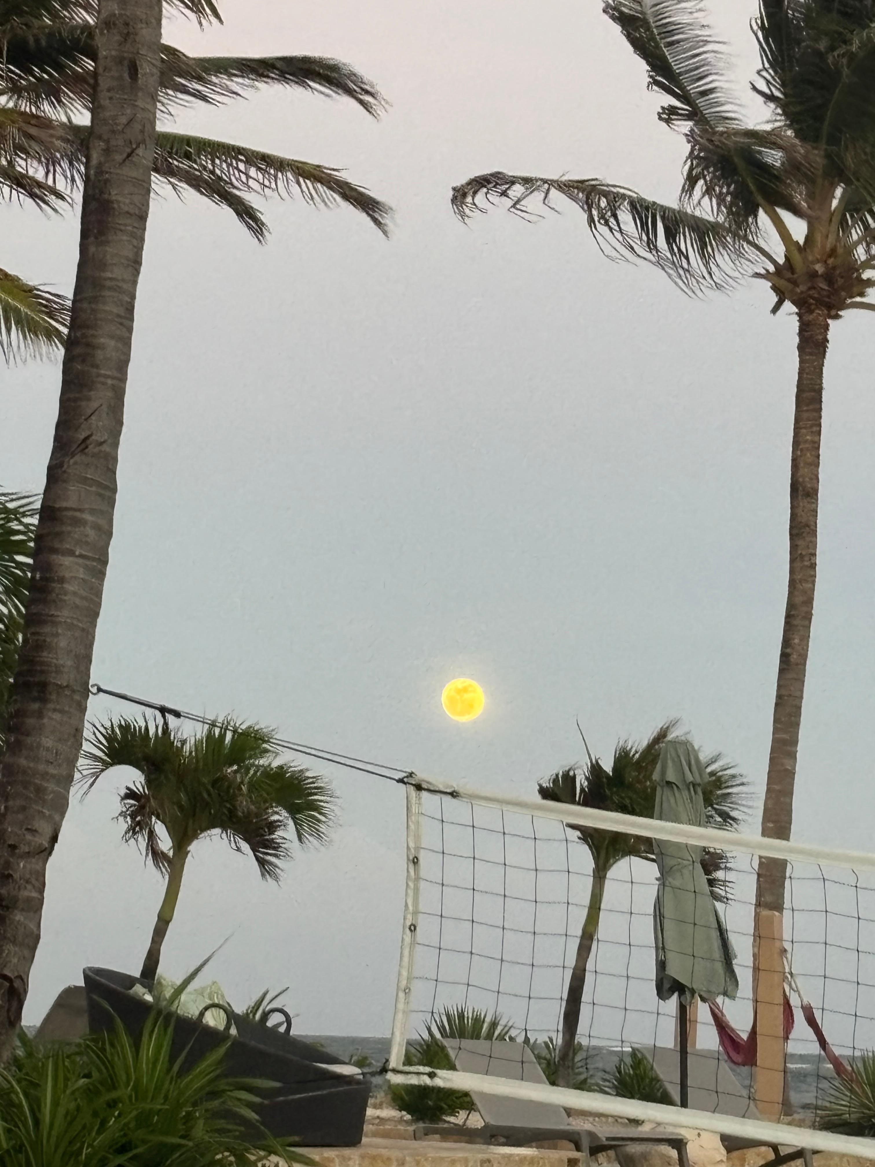 Again, the moon.