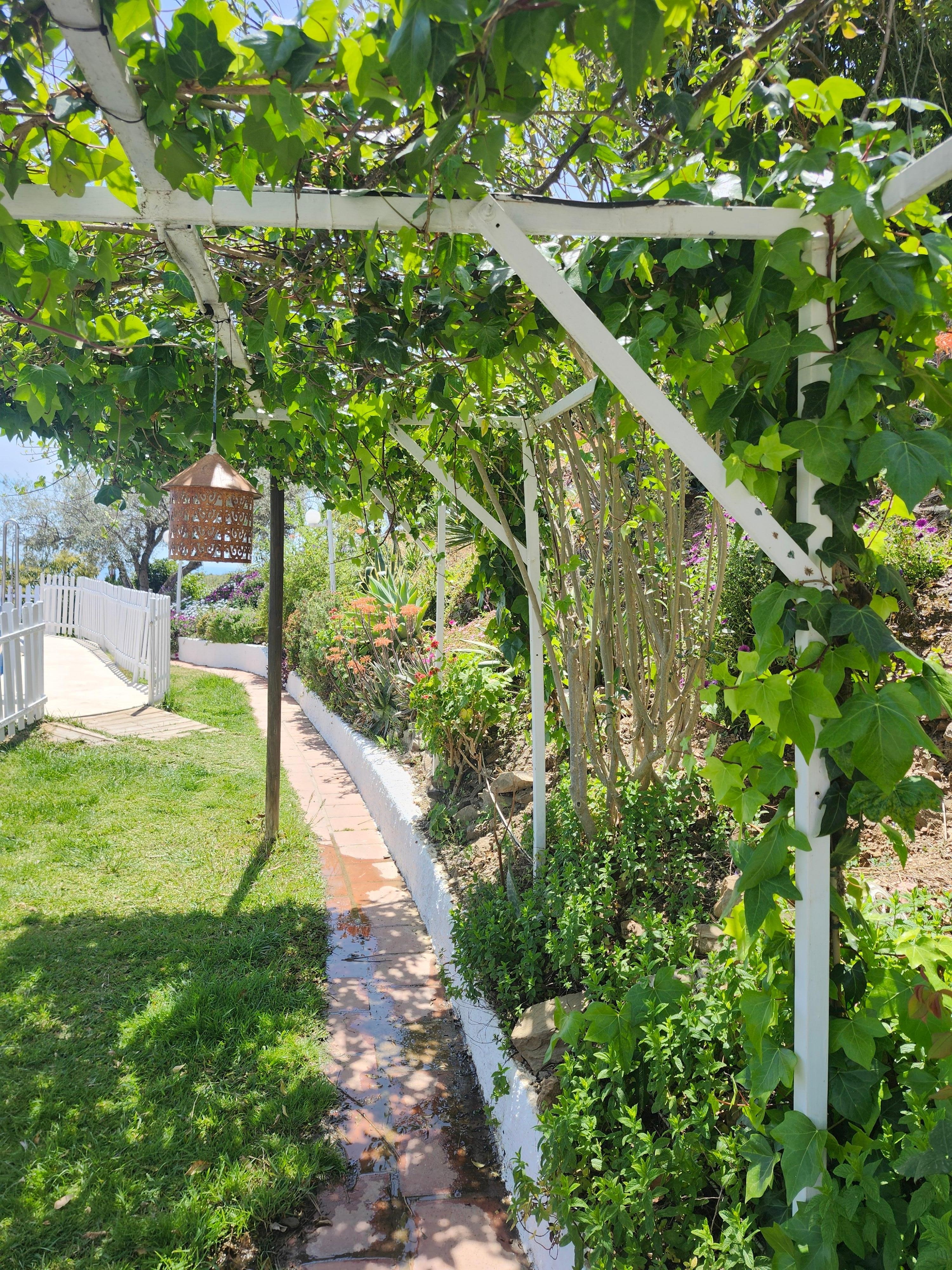 leading up to the pool. flowers and pla ts are beautiful