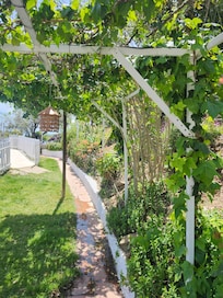 leading up to the pool. flowers and pla ts are beautiful