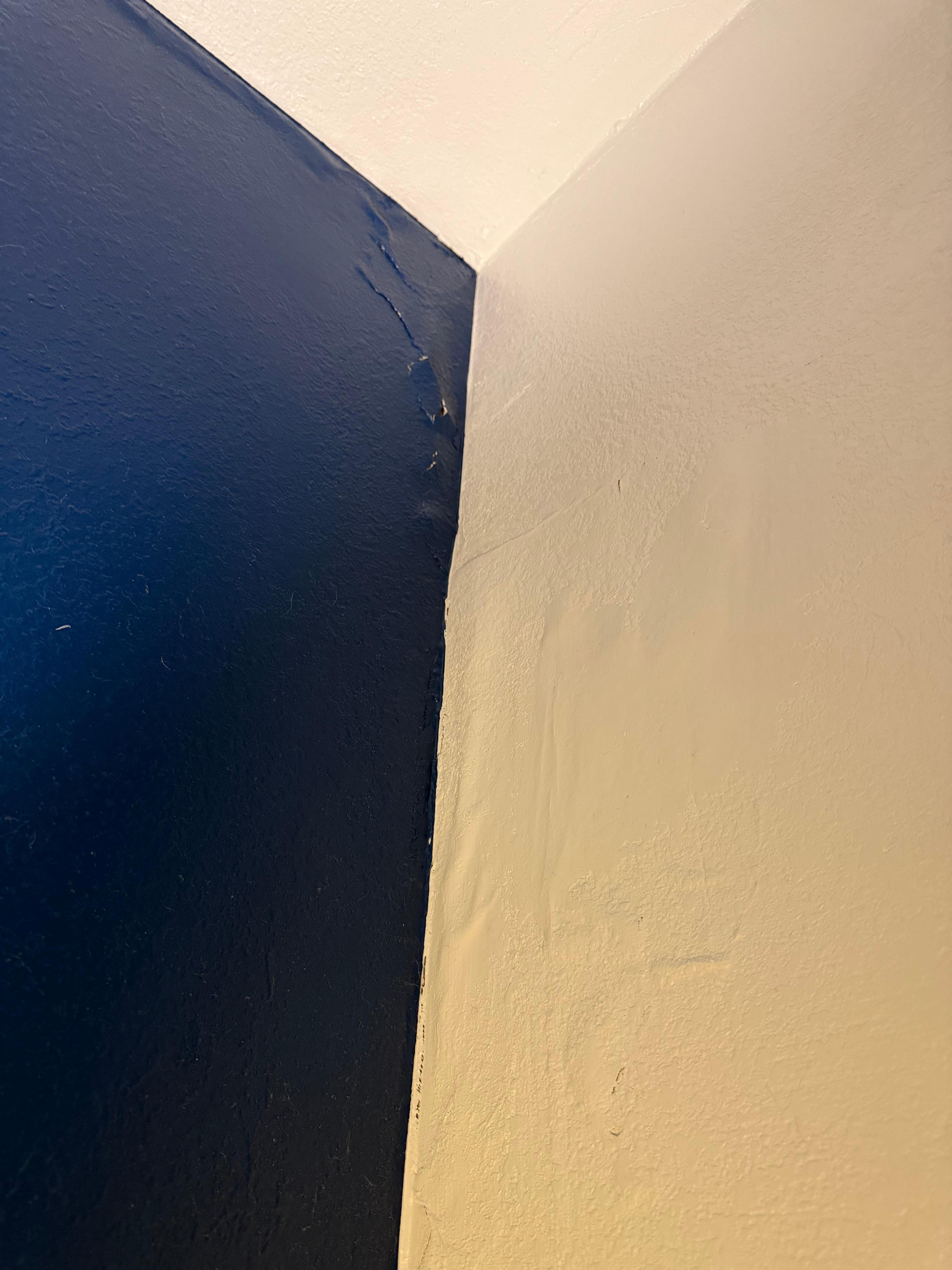 Water damage and mold in corners of the room