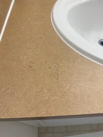 First place that was offered to us: hair on the sink and floors