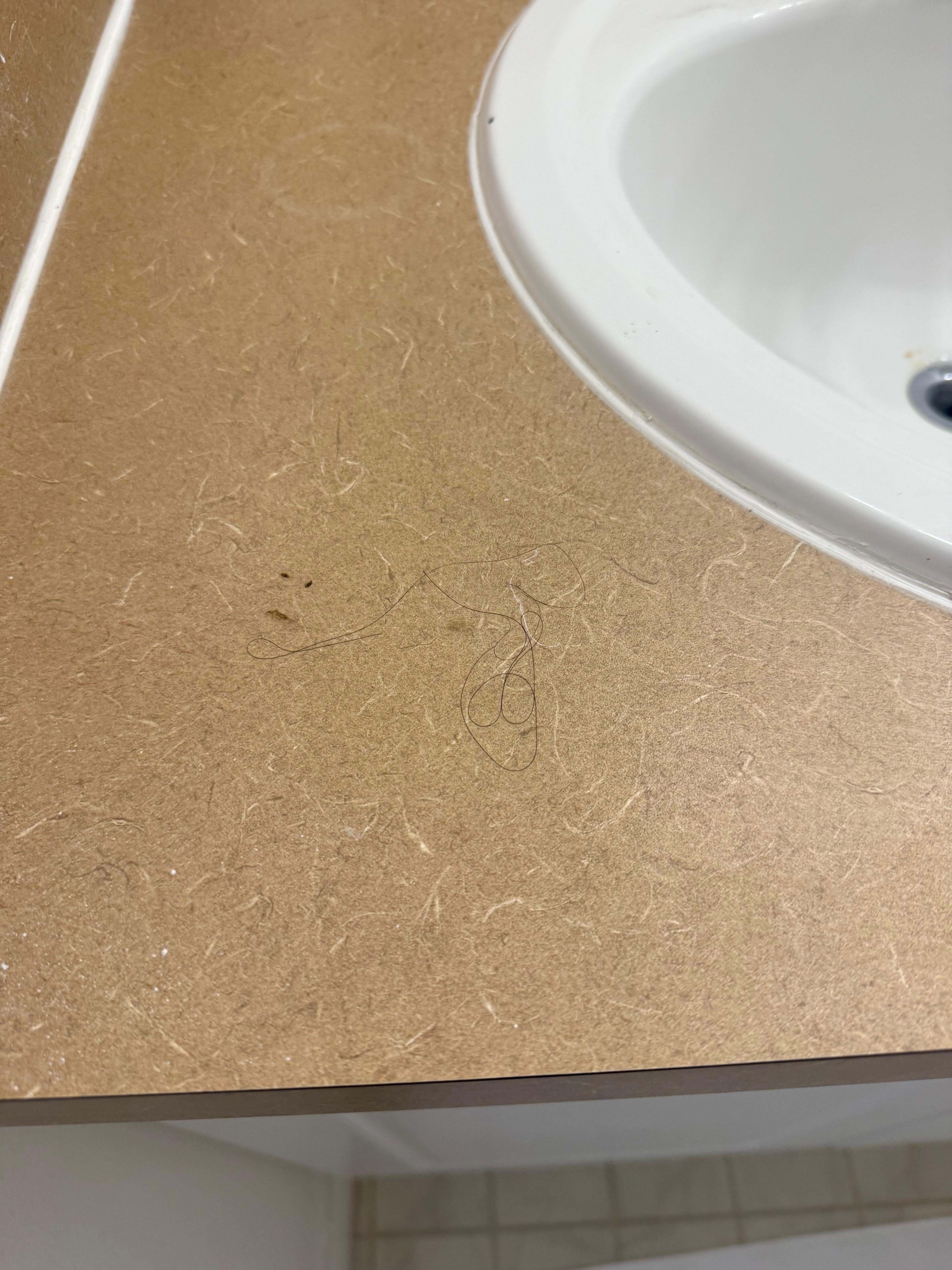 First place that was  offered to us: hair on the sink and floors