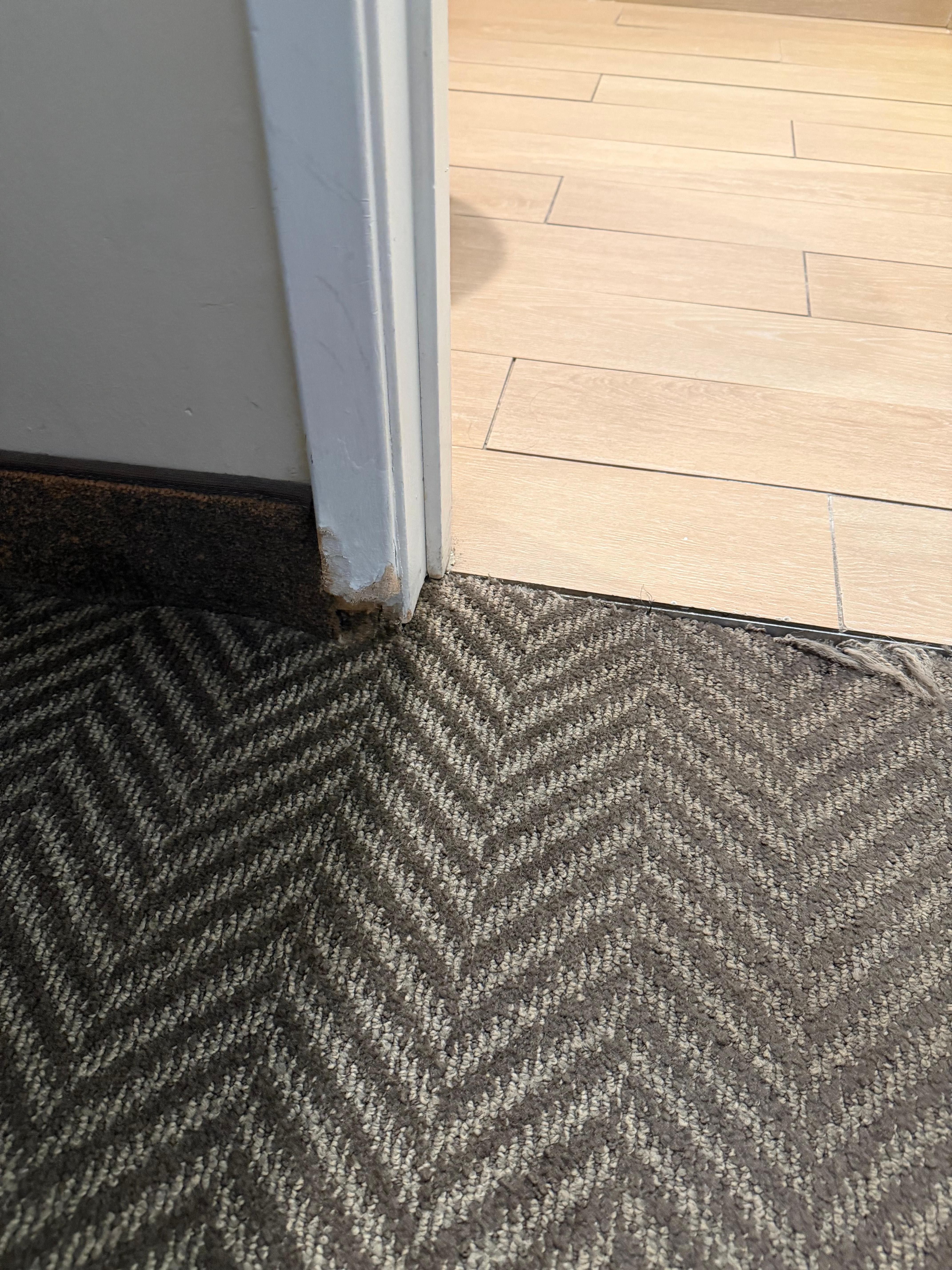 More moisture and mildew. Seemed like there had been a toilet over flow