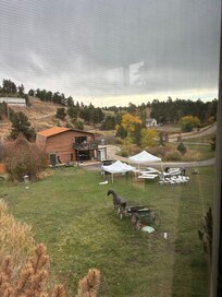 setting up for pre wedding brunch.