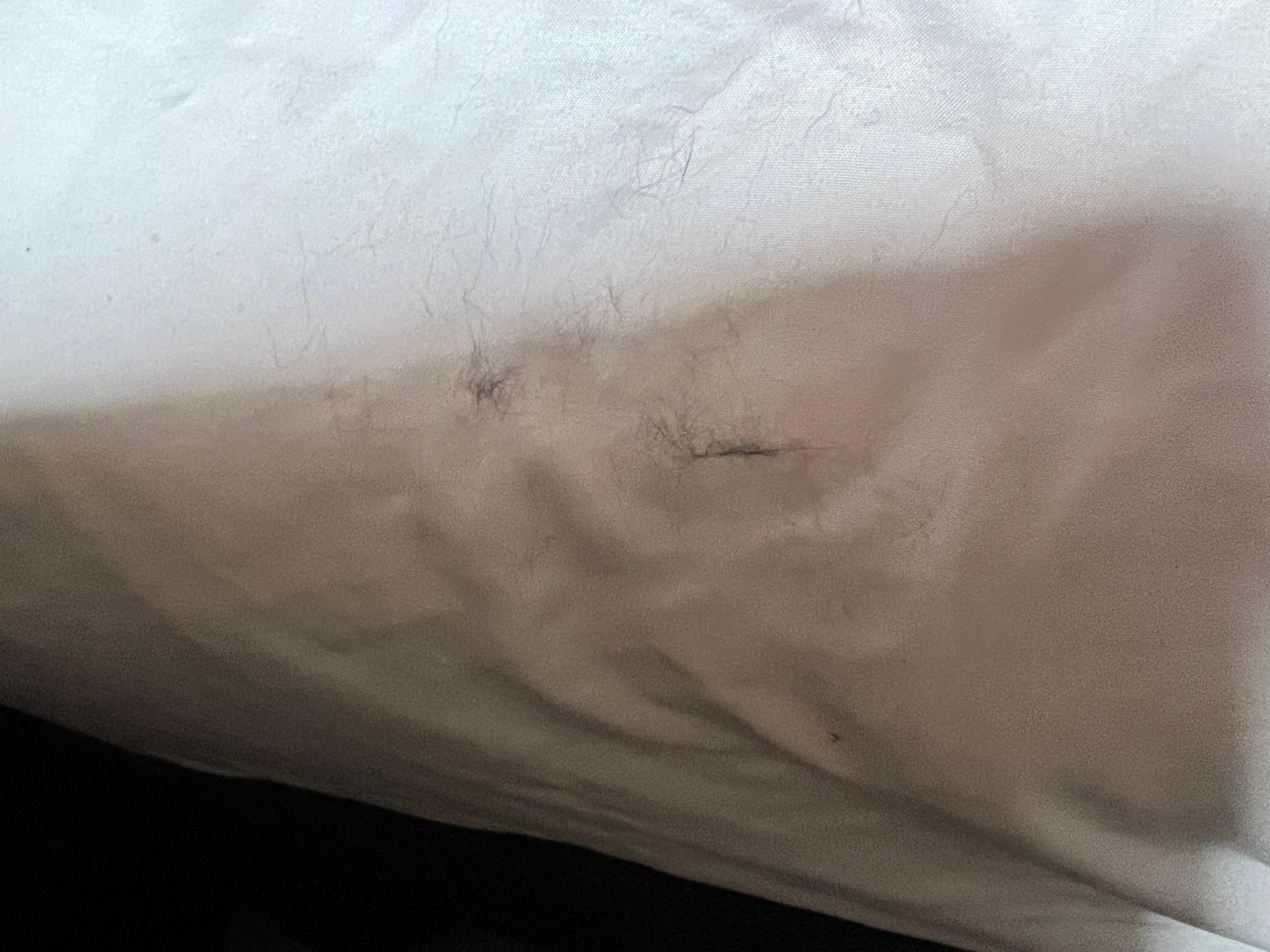 Black hair all over bed 