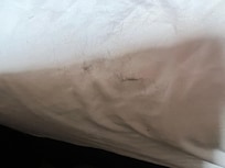 Black hair all over bed