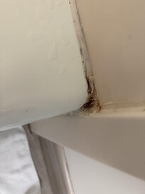 Mold in corner
