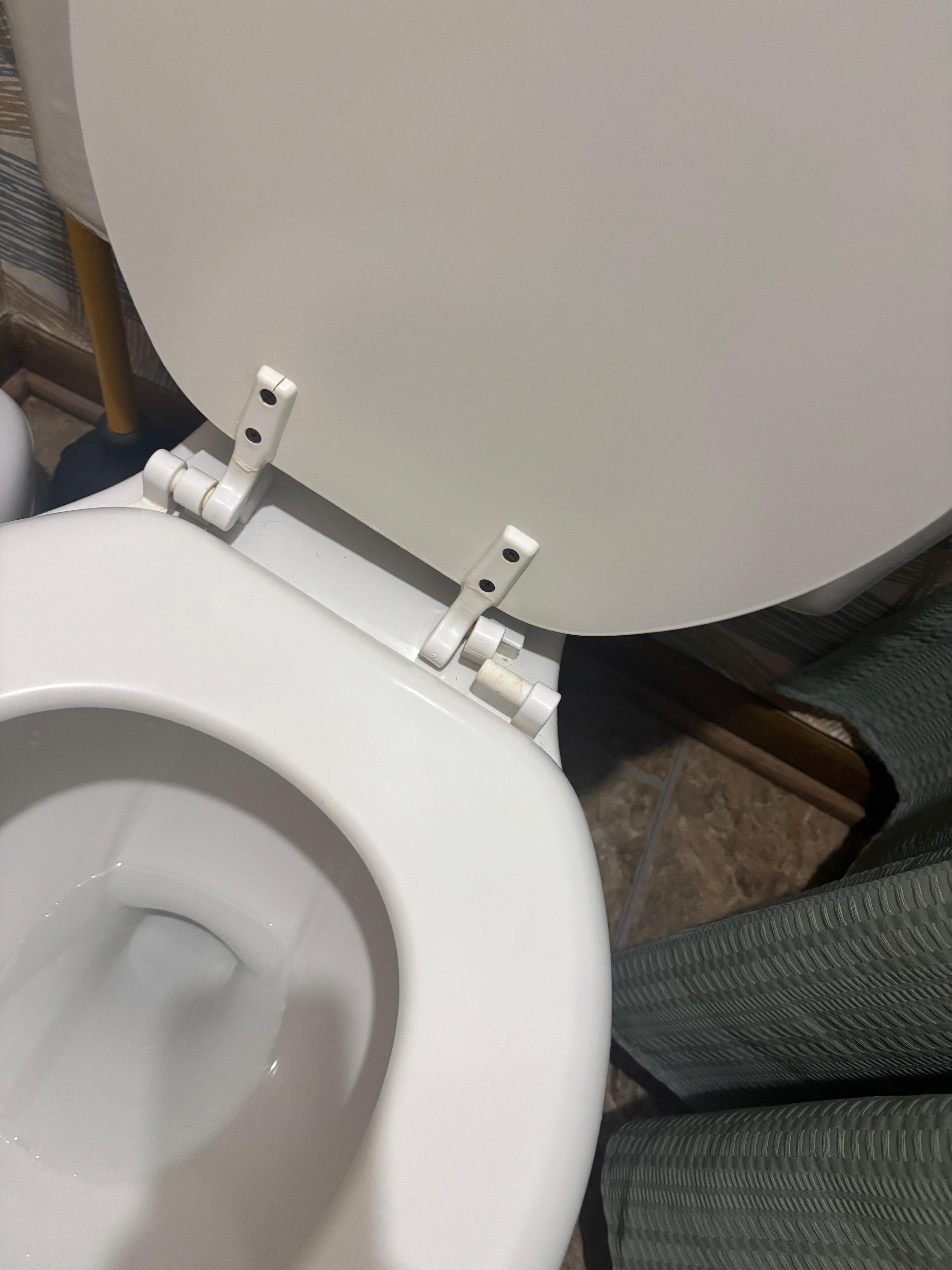 Broken toilet seat. Breaks into two pieces with the slightest movement. 