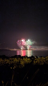 Uitzicht vanuit de tuin