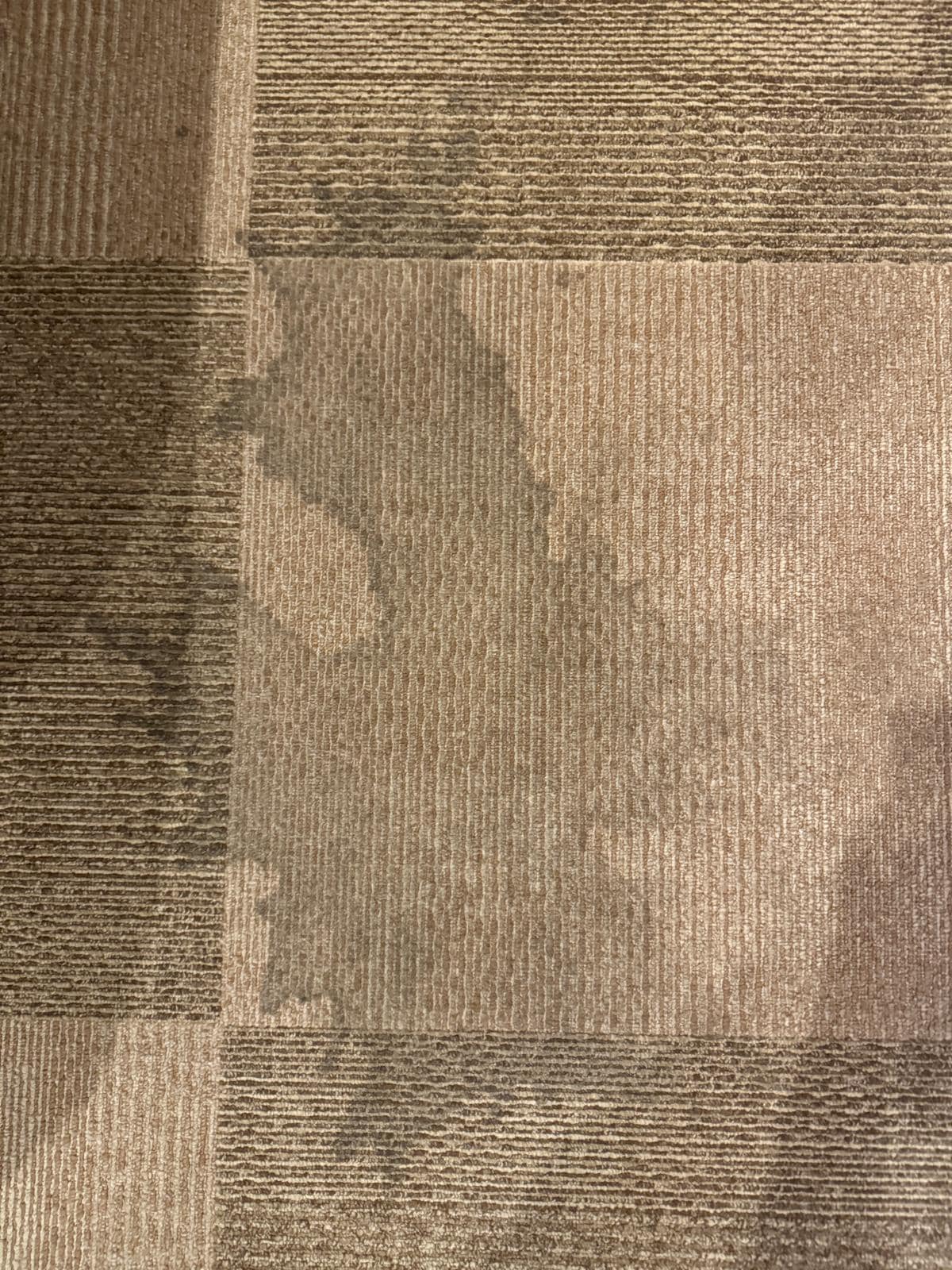 Stain on the carpet