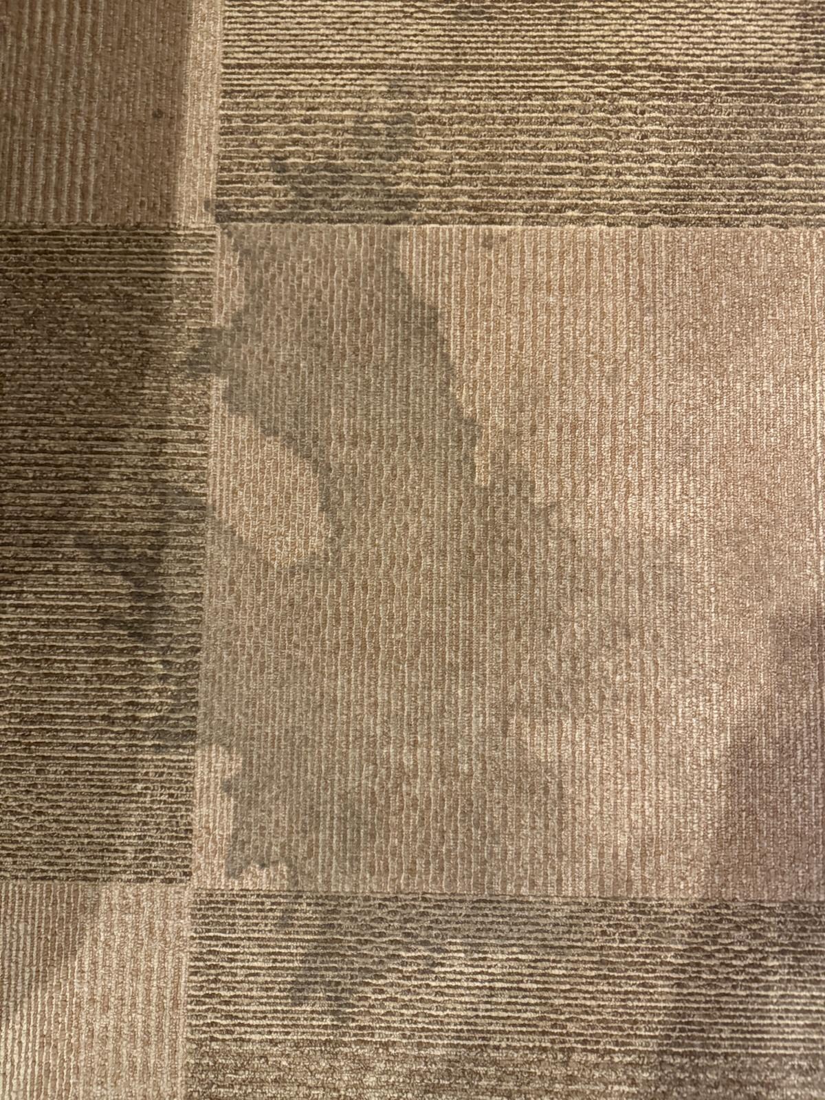 Stain on the carpet