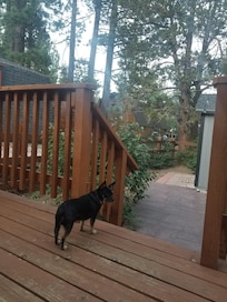 Our favorite place, the deck off the bedroo.